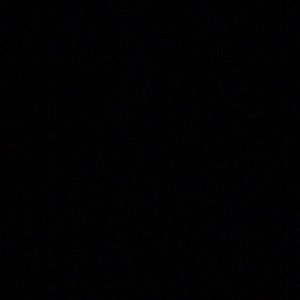 Meet your Posher, Amelia